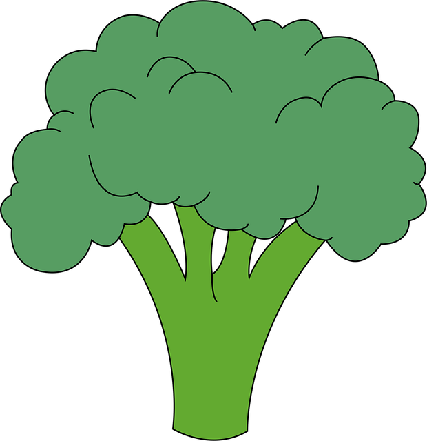 중년 체중 감량 루틴 7일 실천표