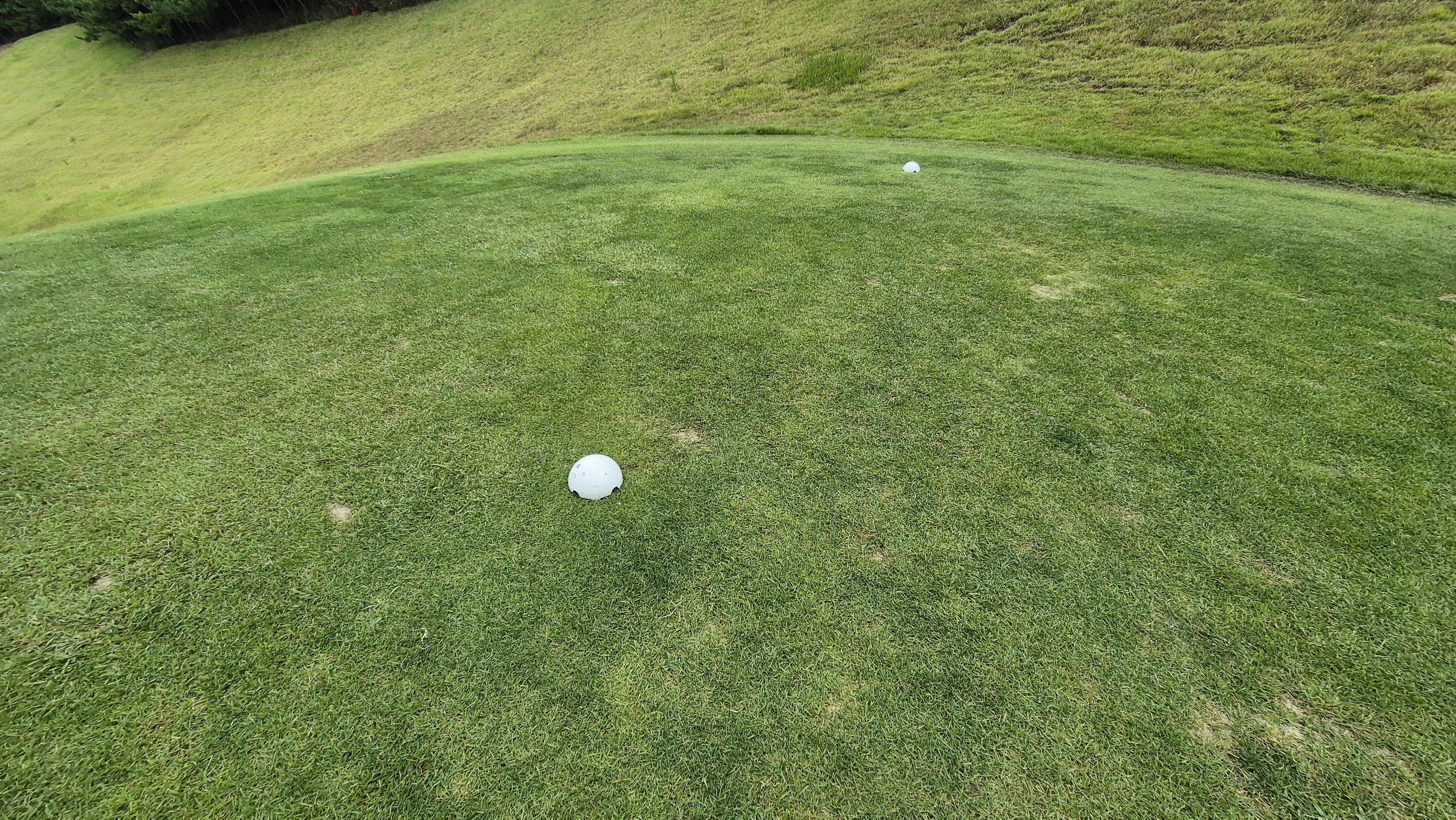 서산수cc 티잉구역 상태