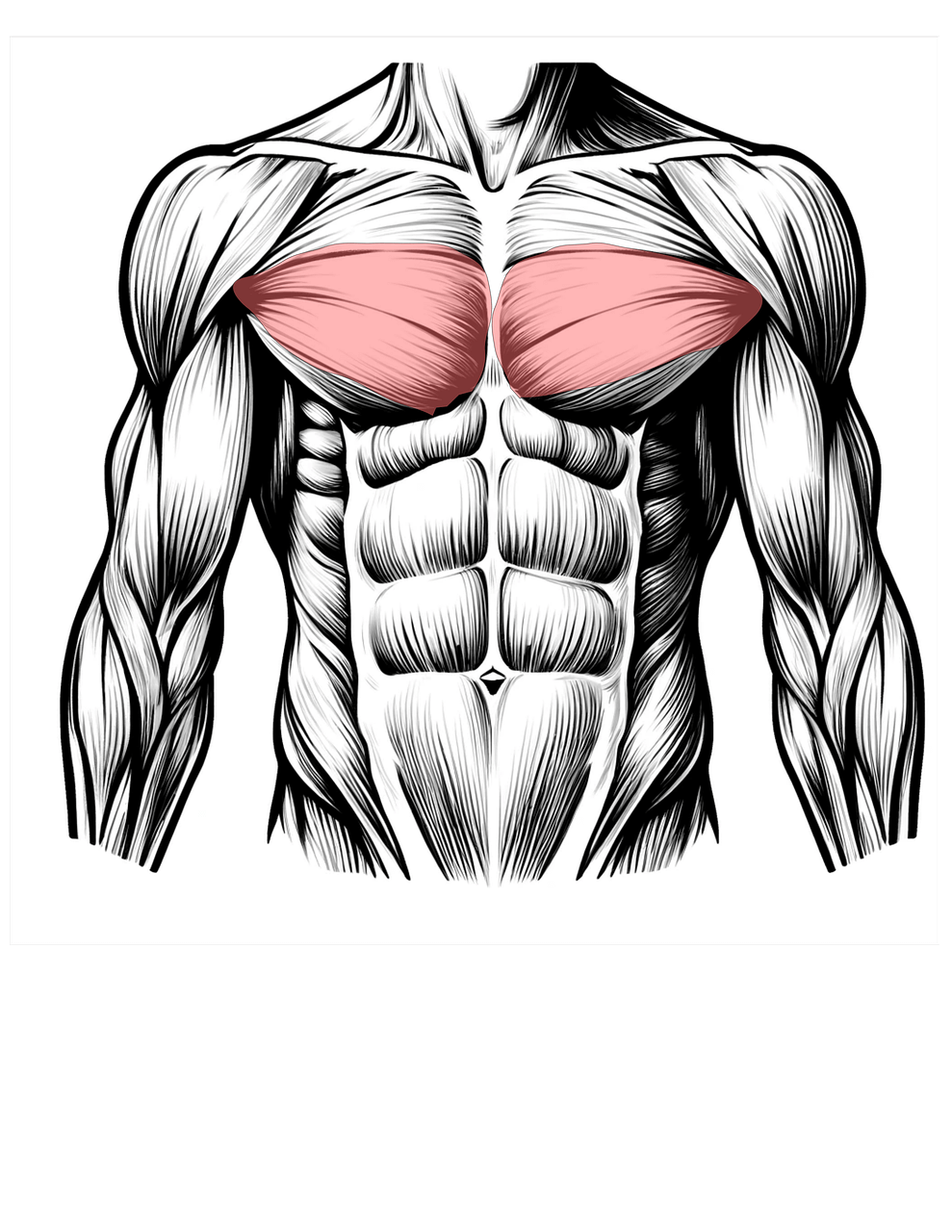 갑자기 찾아오는 가슴 통증, 그 원인 10가지와 병원 가야 할 신호