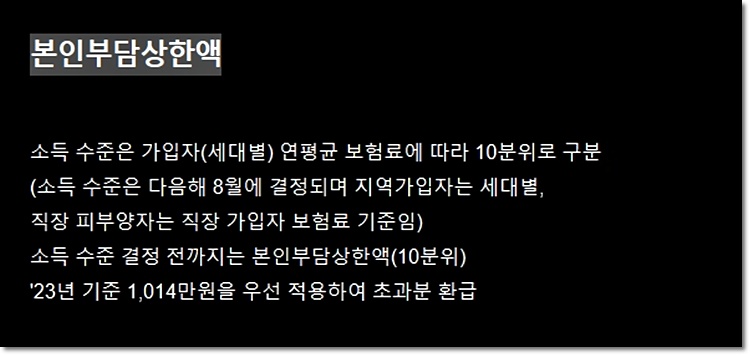 본인부담상한액