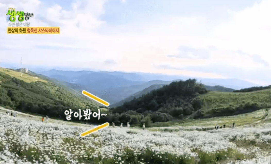 평창 가볼만한 곳 육백마지기