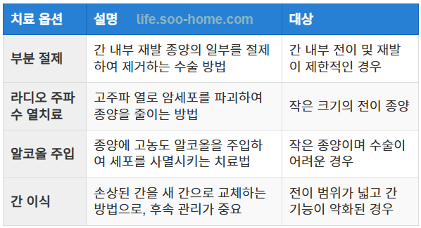 전이 간암의 수술 및 치료 옵션