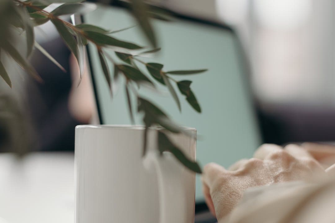 건강보험 환급금 지급일을 조회하며 여유를 즐기는 장면