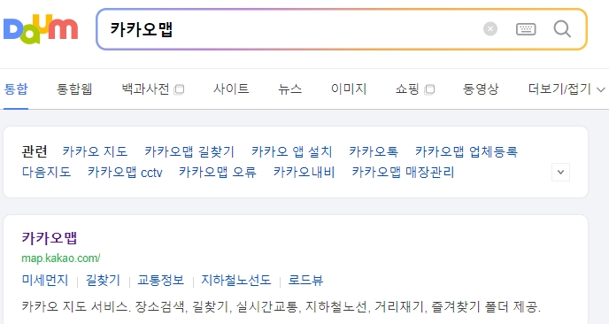 카카오맵 초기 화면