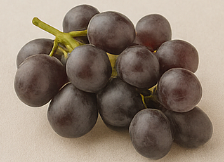 전립선에 좋은 음식