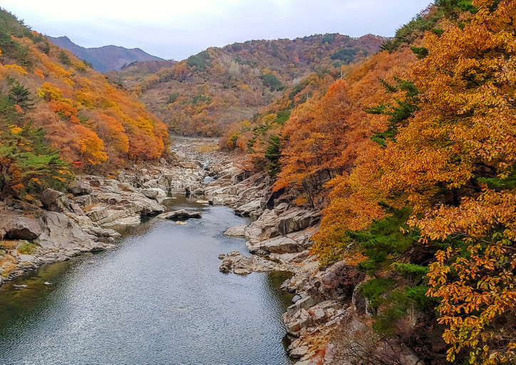 지리산 단풍시기