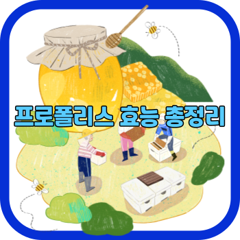 프로폴리스 효능 총정리