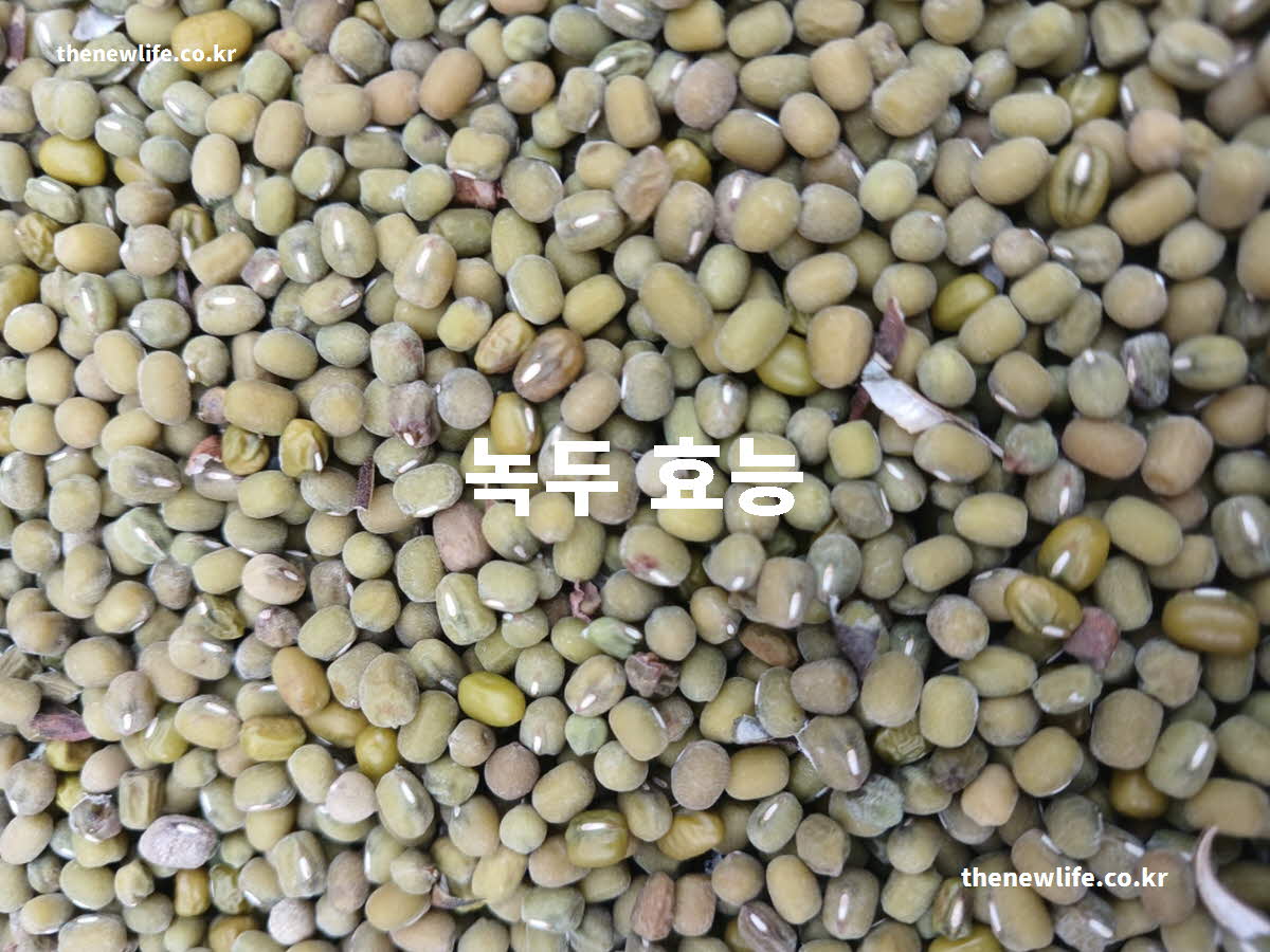 녹두 효능 대표 실사진
