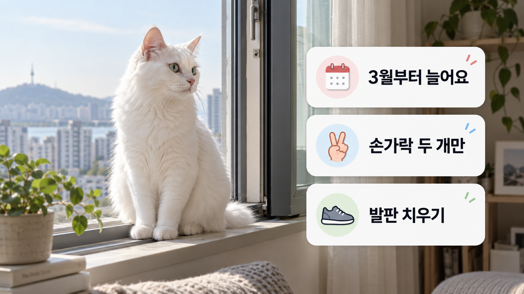 창가에 앉은 고양이와 확인 카드
