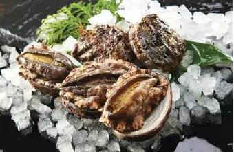 8월 제철 해산물과 7월 제철 해산물 종류 및 주의사항_22