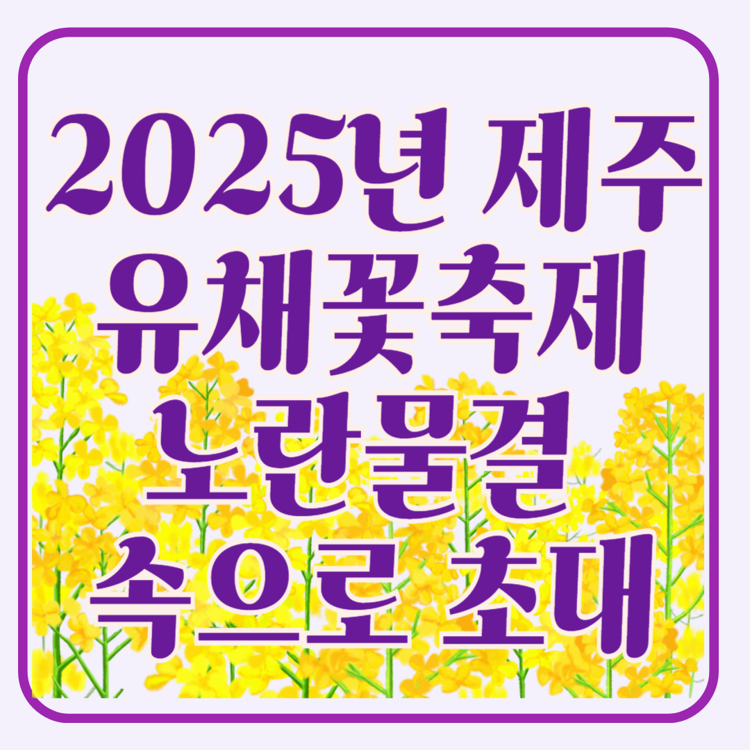 제주 유채꽃 축제 노란 물결 속으로의 초대