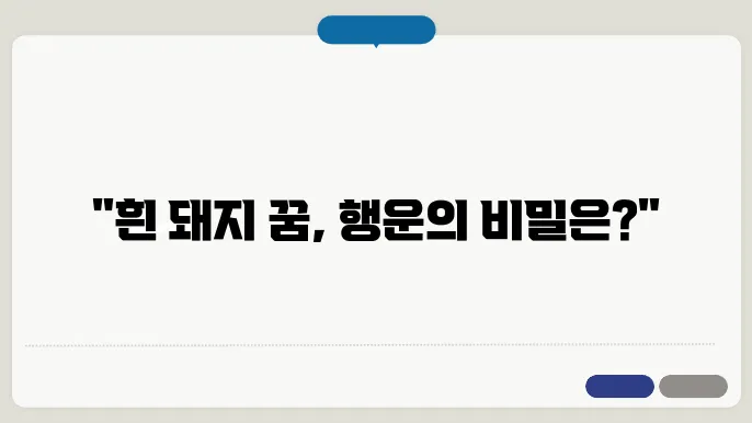 흰 돼지 꿈 해몽