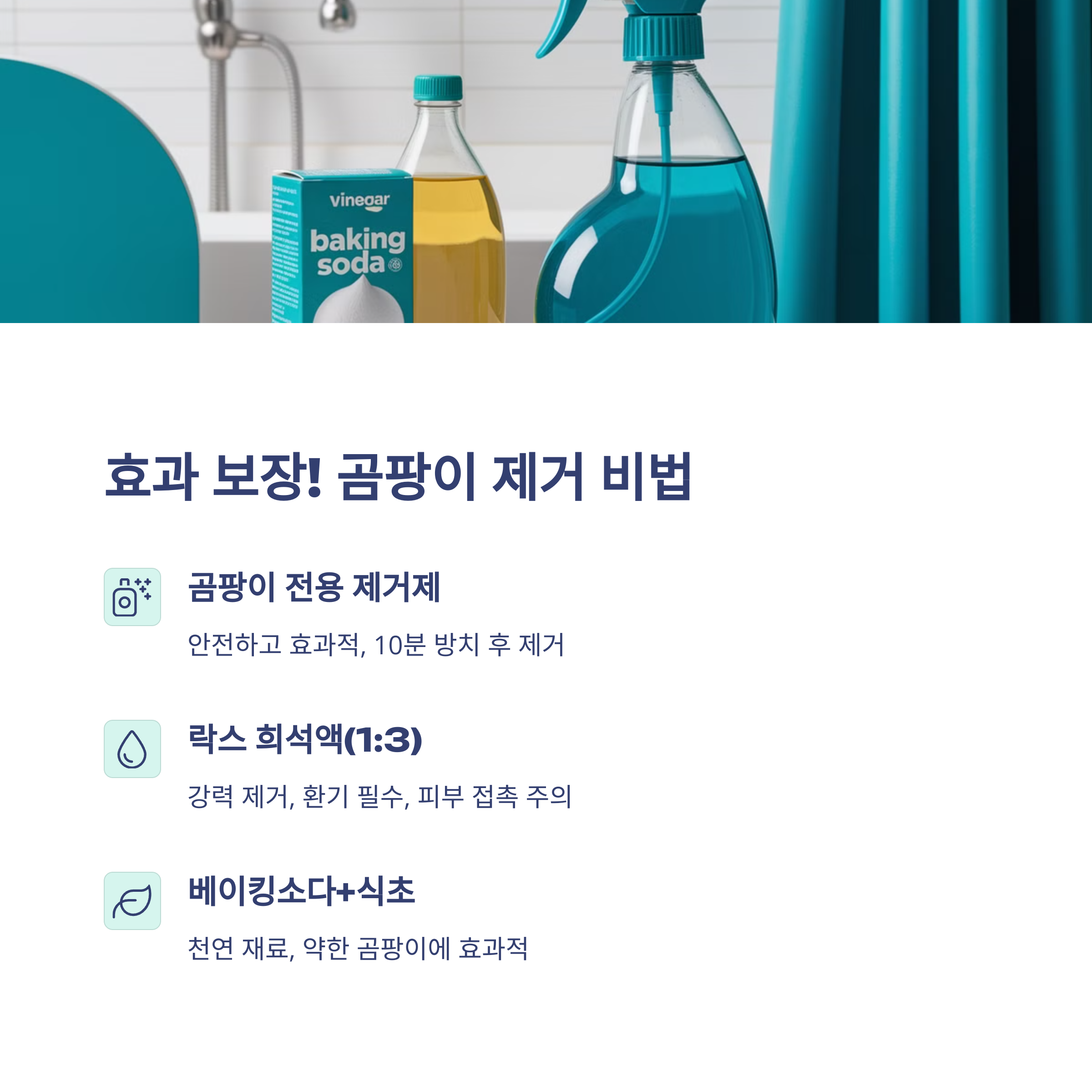 자취방 곰팡이 제거, 진짜 효과 있는 방법 5가지