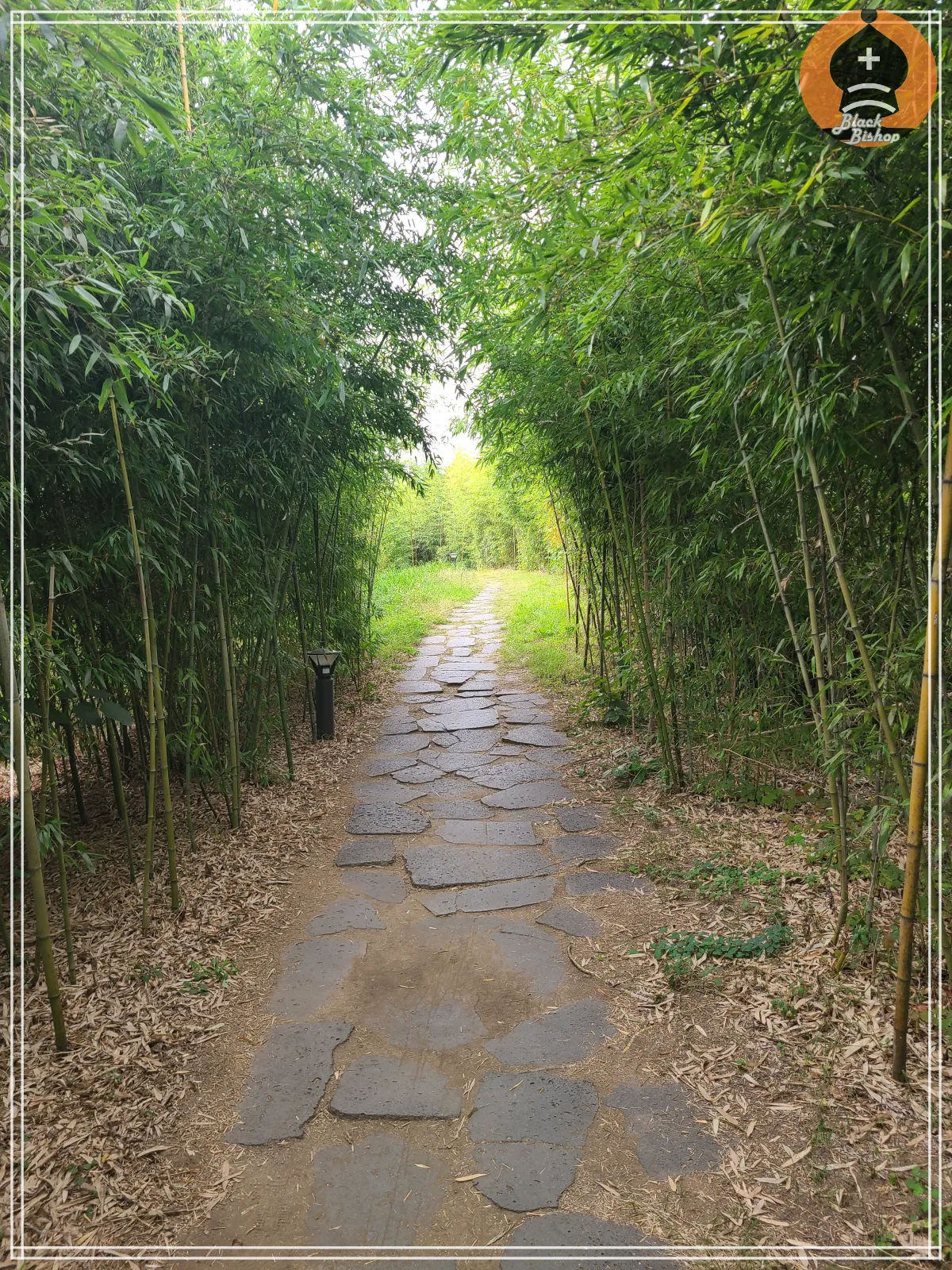 이촌한강테니스장-가는길