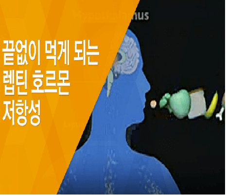 끝없이 먹게 되는 랩틴호르몬 저항성 이미지