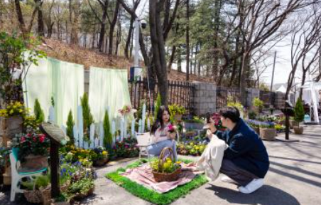 여의도 벚꽃축제 일정