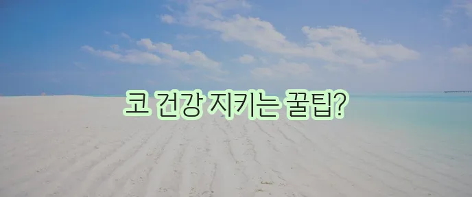 비염에 좋은 음식과 차 꼭 챙겨 드세요!