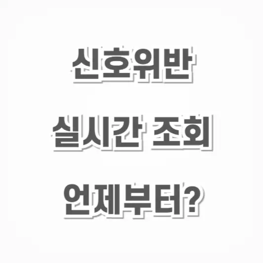 신호위반-실시간 조회 언제부터