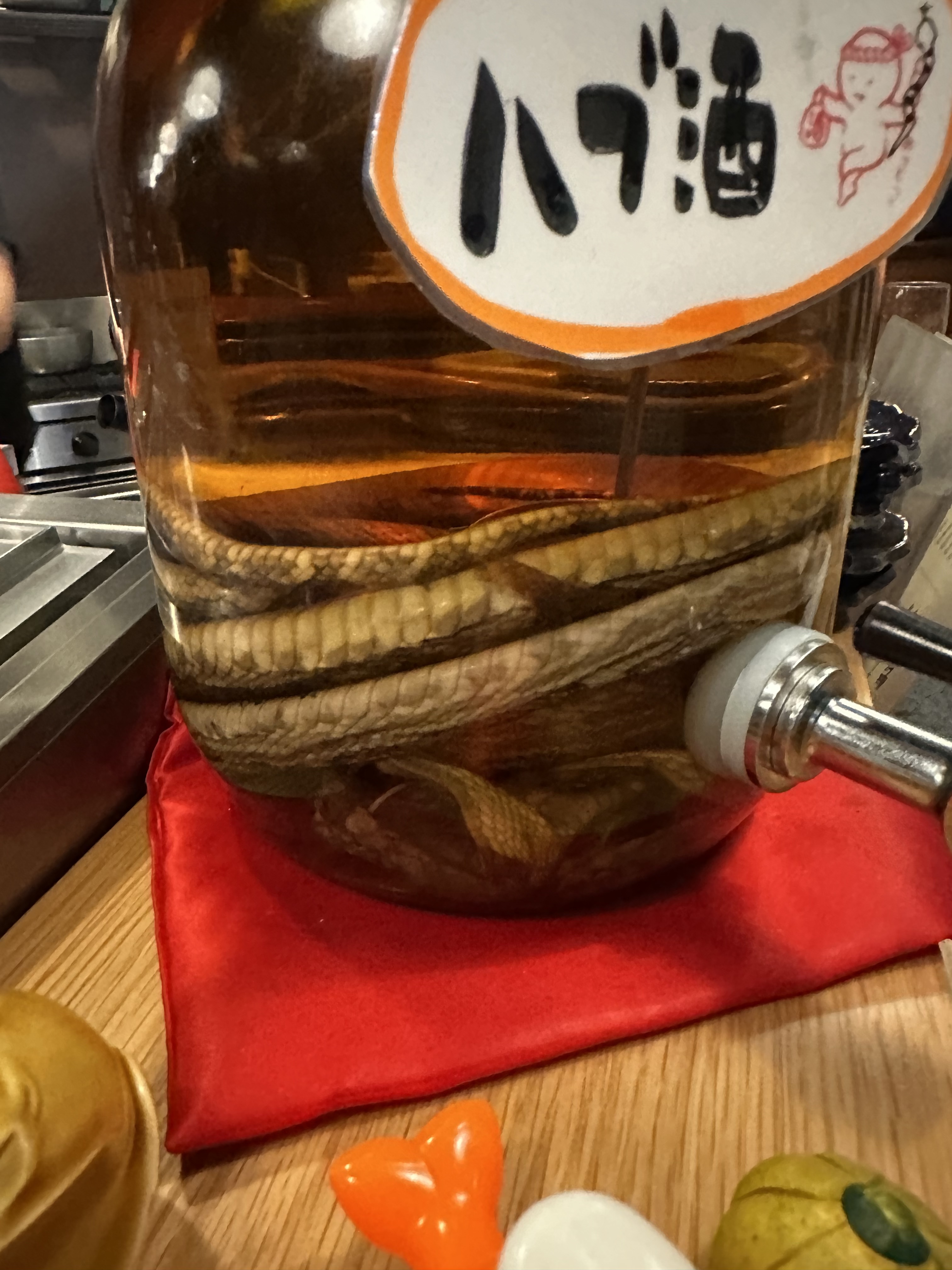 일본에서 본 뱀술