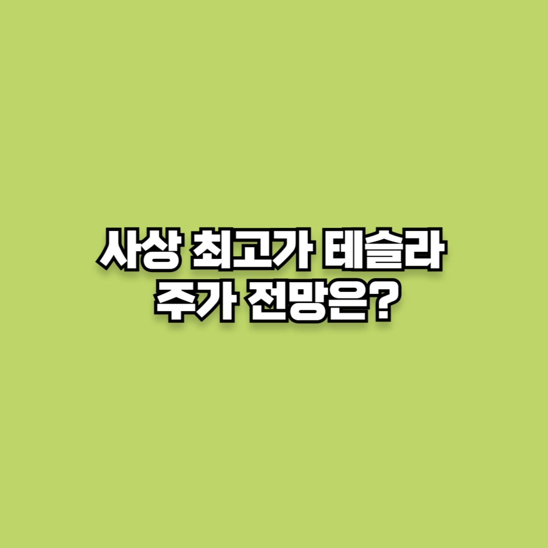 사상 최고가 테슬라 주가 전망