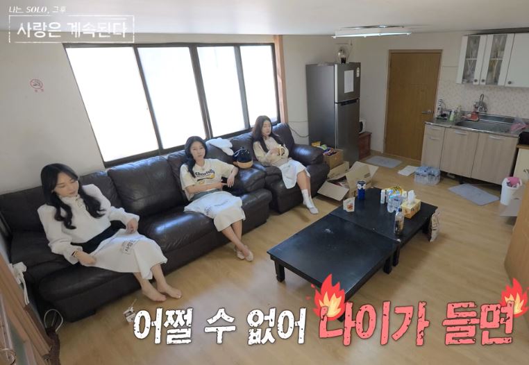 단체