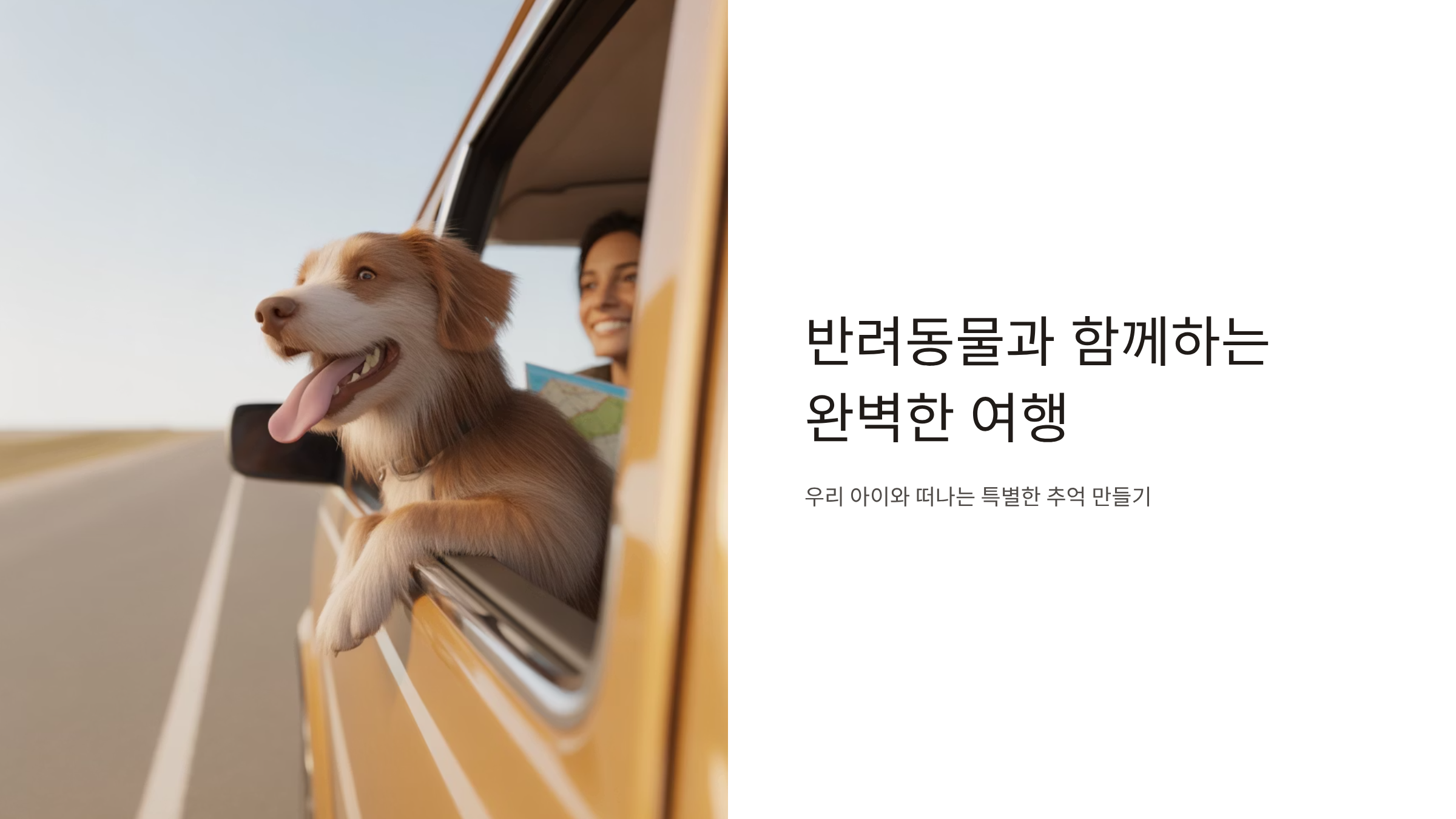 반려동물과 떠나는 완벽한 여행