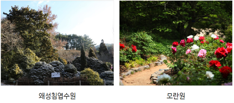 태안 천리포수목원