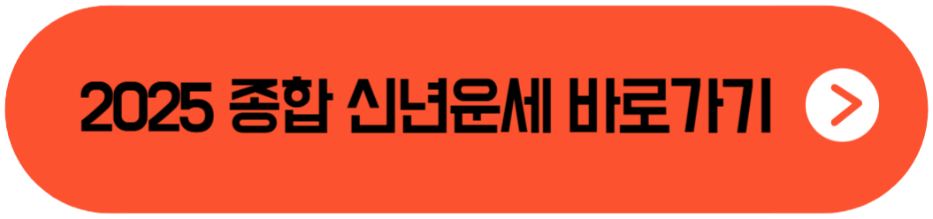 한국경제 2025년 종합 신년운세