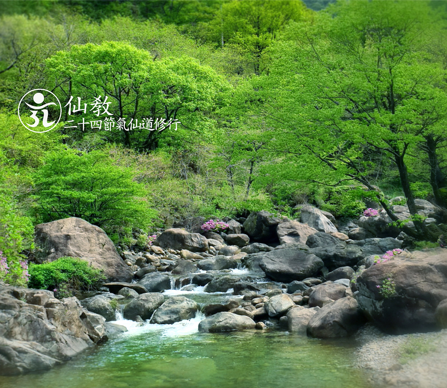 신성의 숲, 선교총림 선림원, 천지인 명상, 숲명상, 24절기, 청명