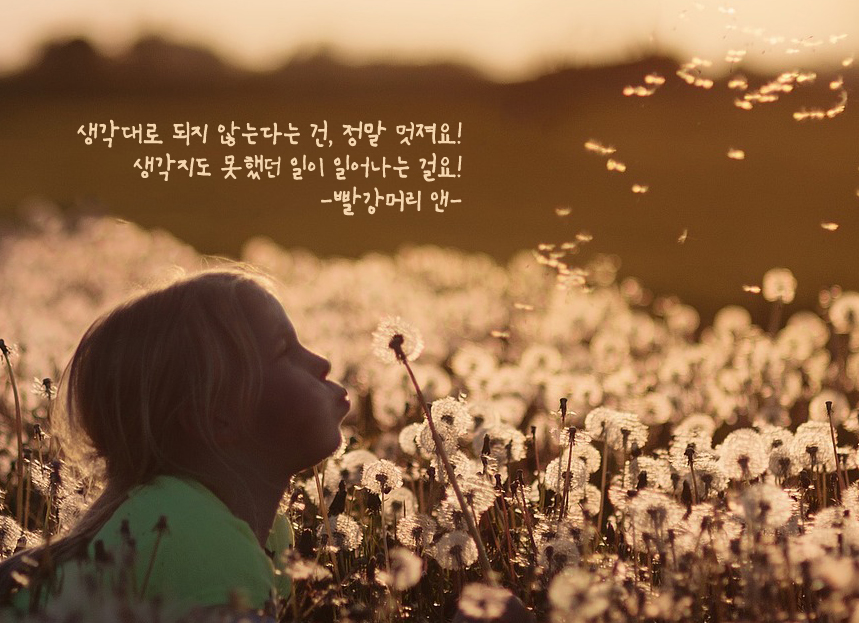 상상토끼 꽃집막내딸체 - 상업용 무료폰트 다운로드