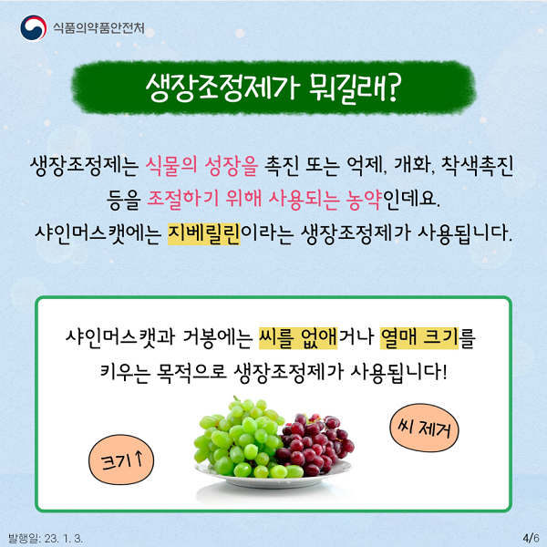 지베릴린이란