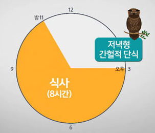 야간형 간헐적 단식 시간표