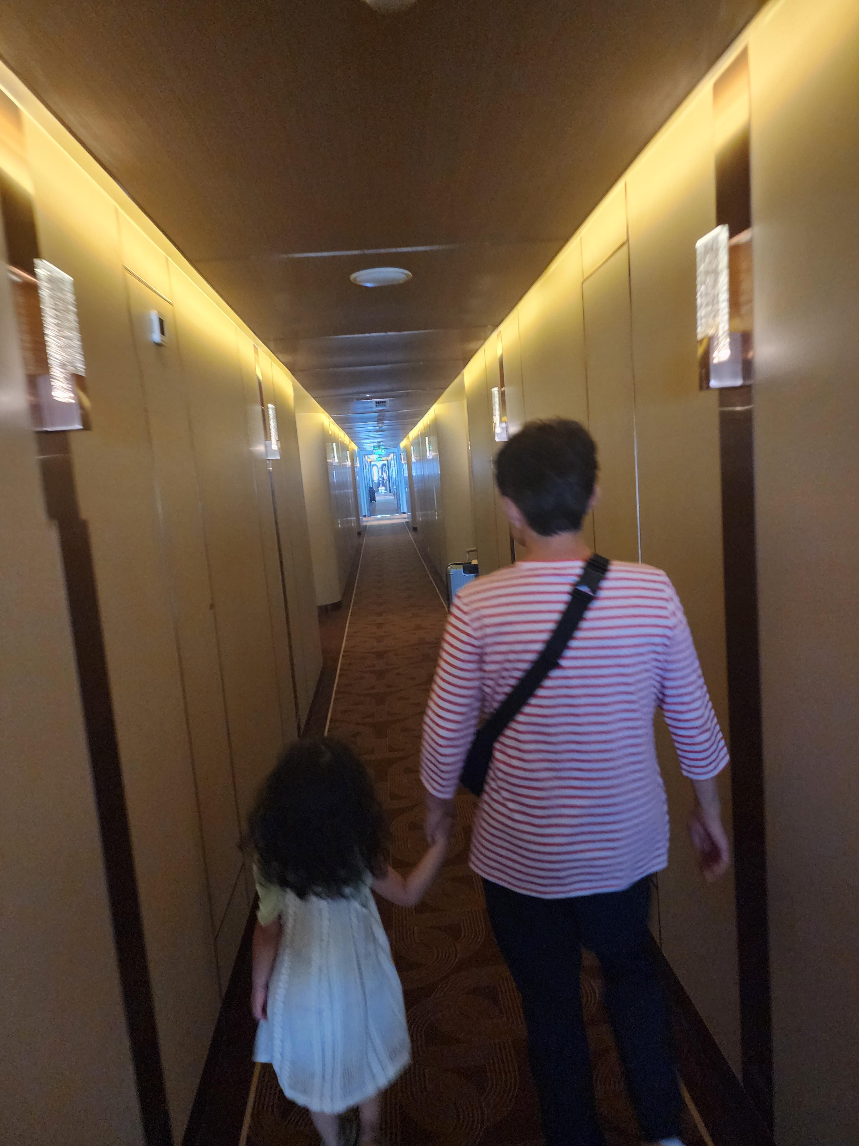 그랜드 파이어니스