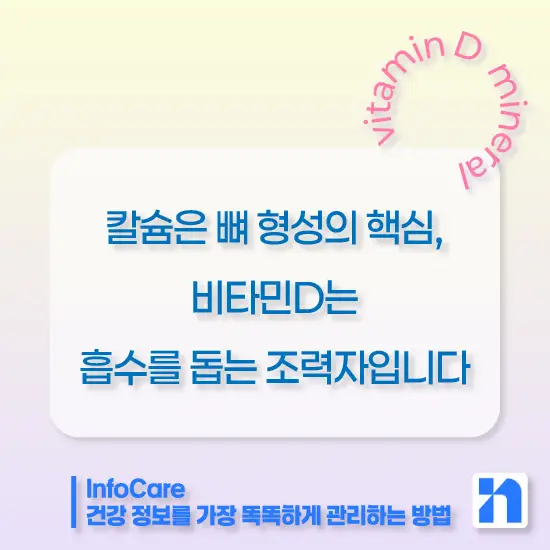 비타민D 칼슘 마그네슘 아연 함께 복용