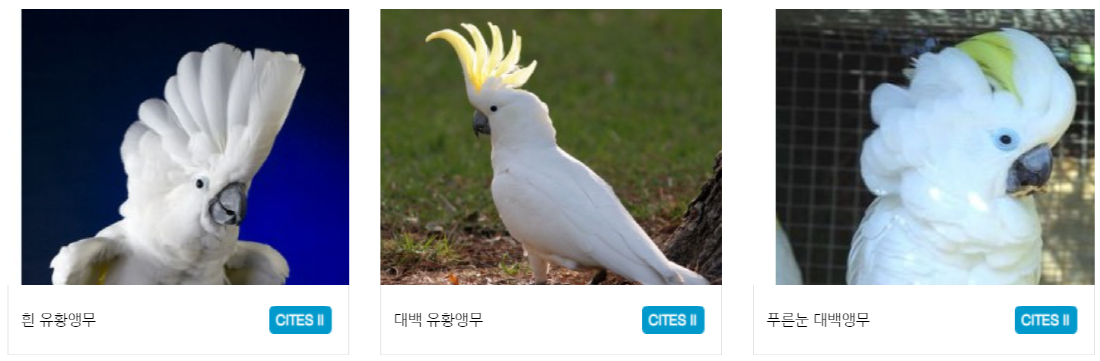 구미 쥬쥬동산