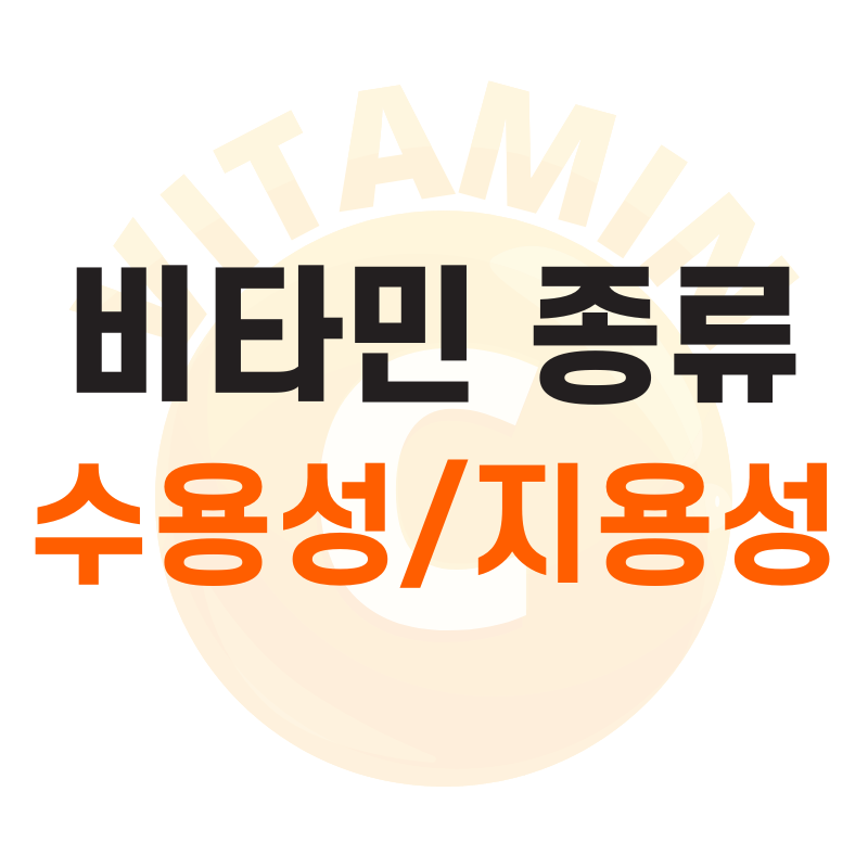 수용성 지용성 차이