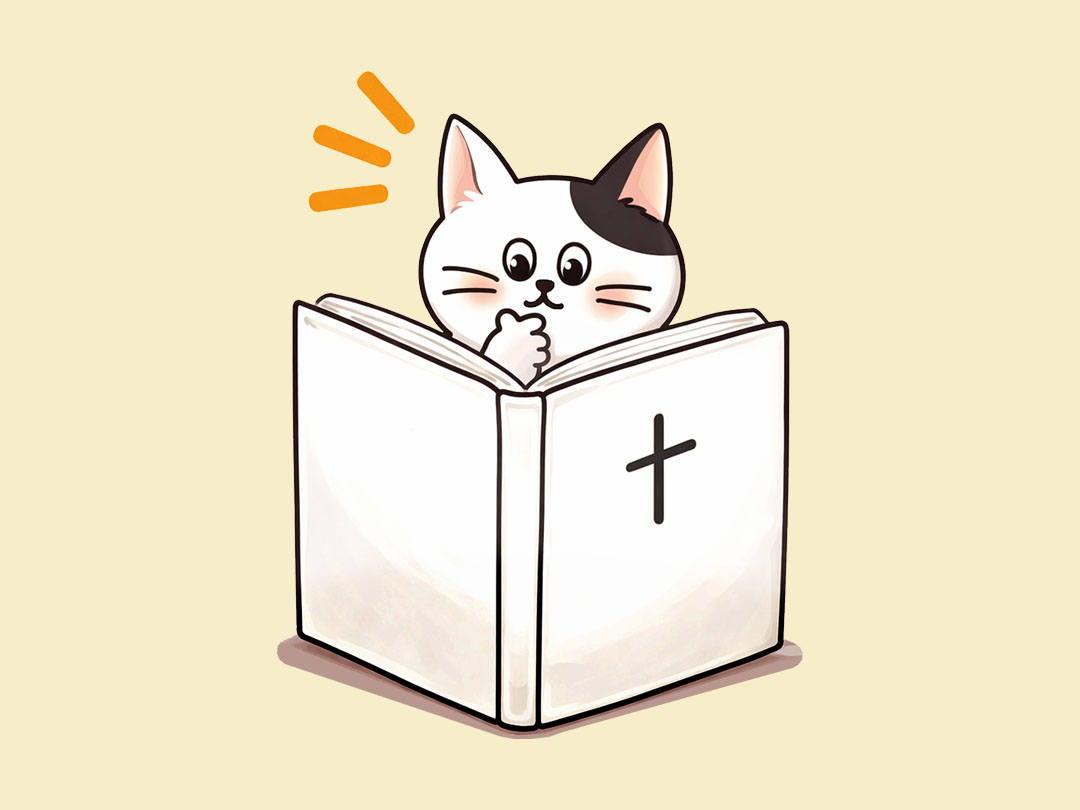 오늘 말씀카드 사도행전 8장 31절 대표 이미지