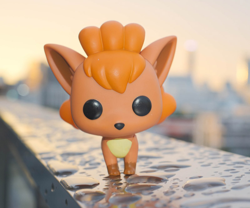 포켓몬고 에브이 진화형 총정리