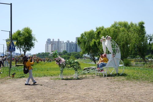 중랑 서울 장미축제 포토존