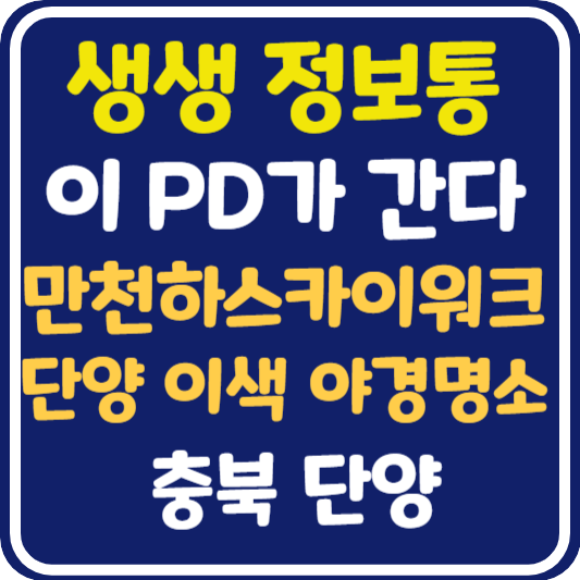 생생 정보통 단양 만천하스카이워크, 이색 야경 명소 정보 안내 : 이 PD가 간다
