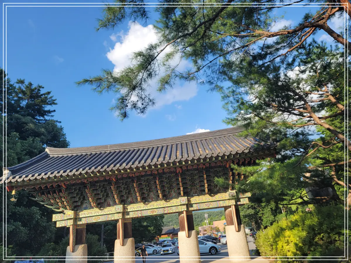 봉선사-연꽃축제-20250810_172806