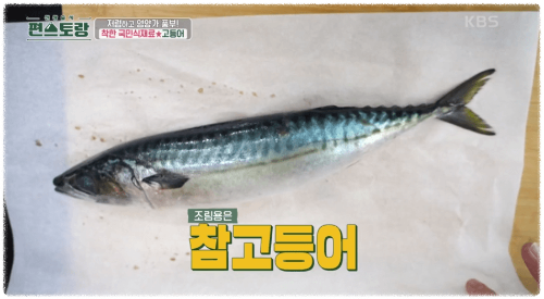 참고등어-이미지
