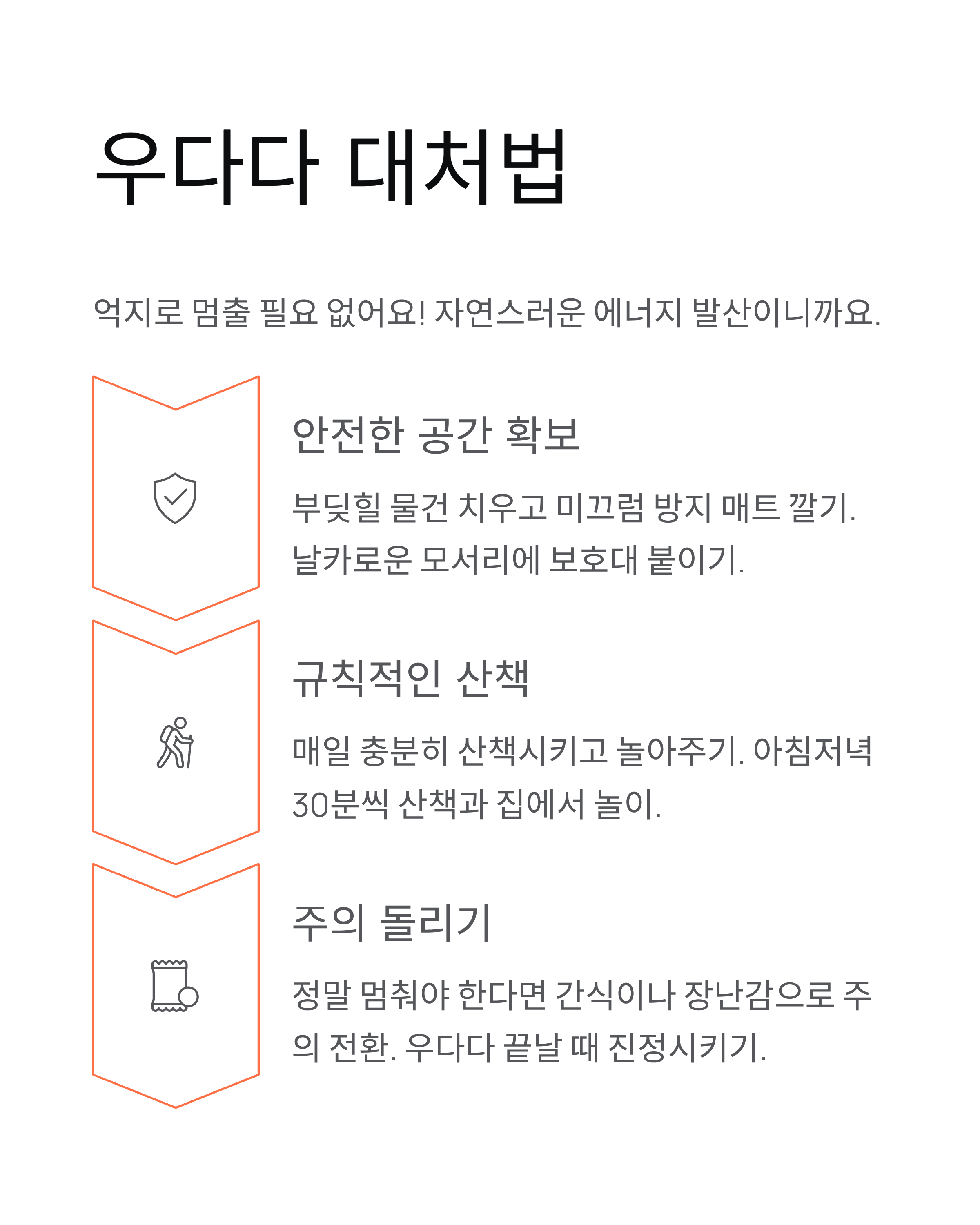 강아지 갑자기 우다다 뛰어다니는 이유? 원인·시간·대처법 총정리