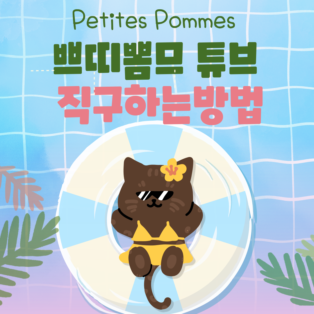 쁘띠뽐므 튜브 직구 하는 방법, 튜브직구, 쁘띠뽐므 직구