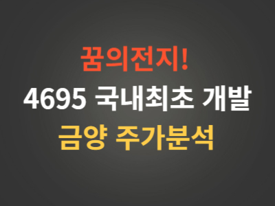 4695배터리개발금양