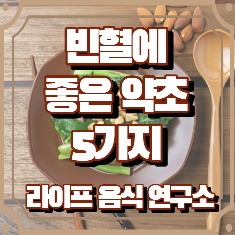 빈혈에 좋은 약초 5가지