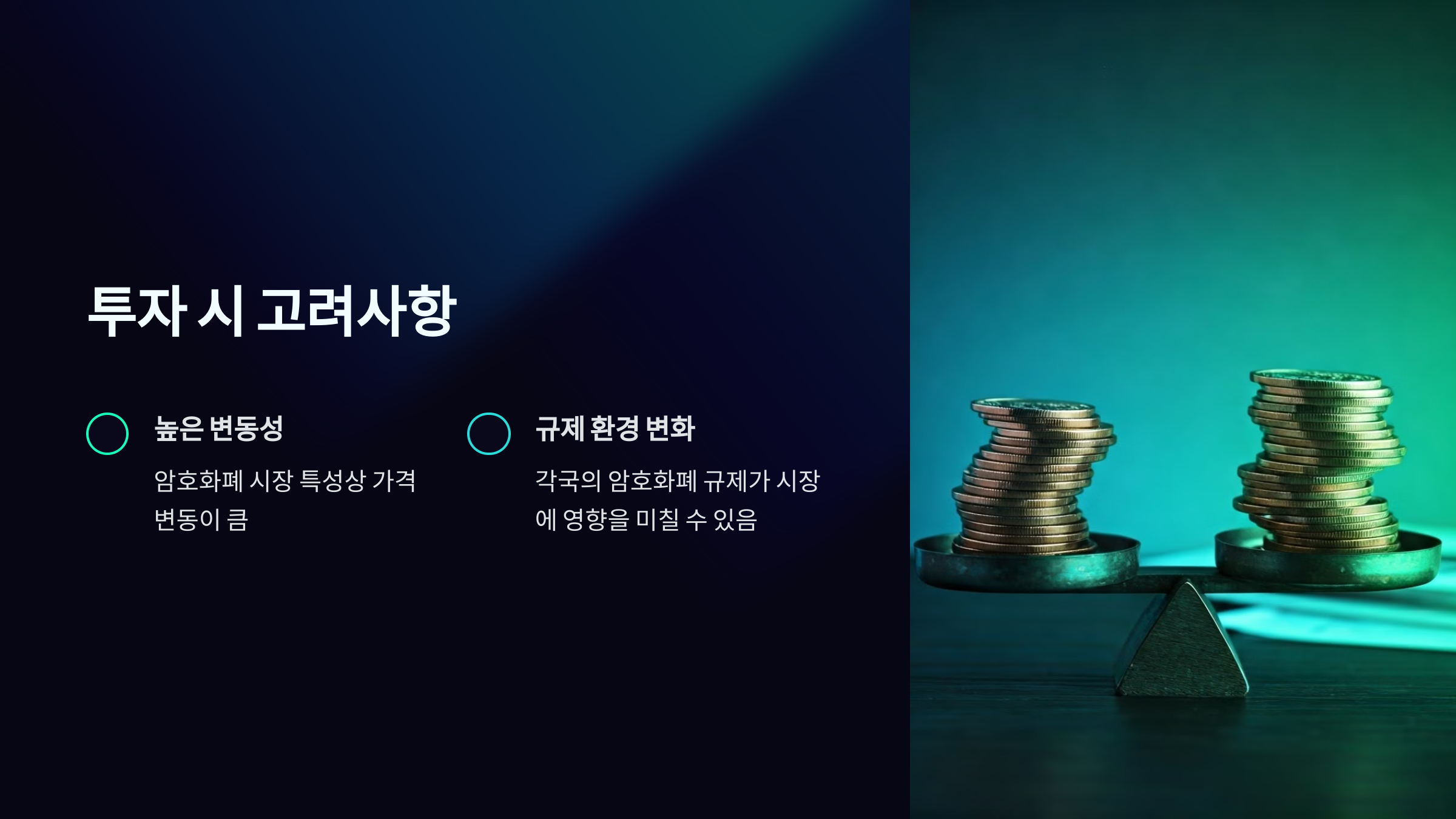 투자 시 고려사항