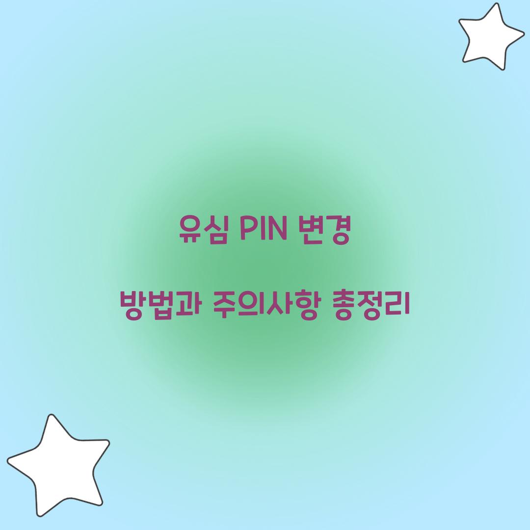 유심 PIN 변경