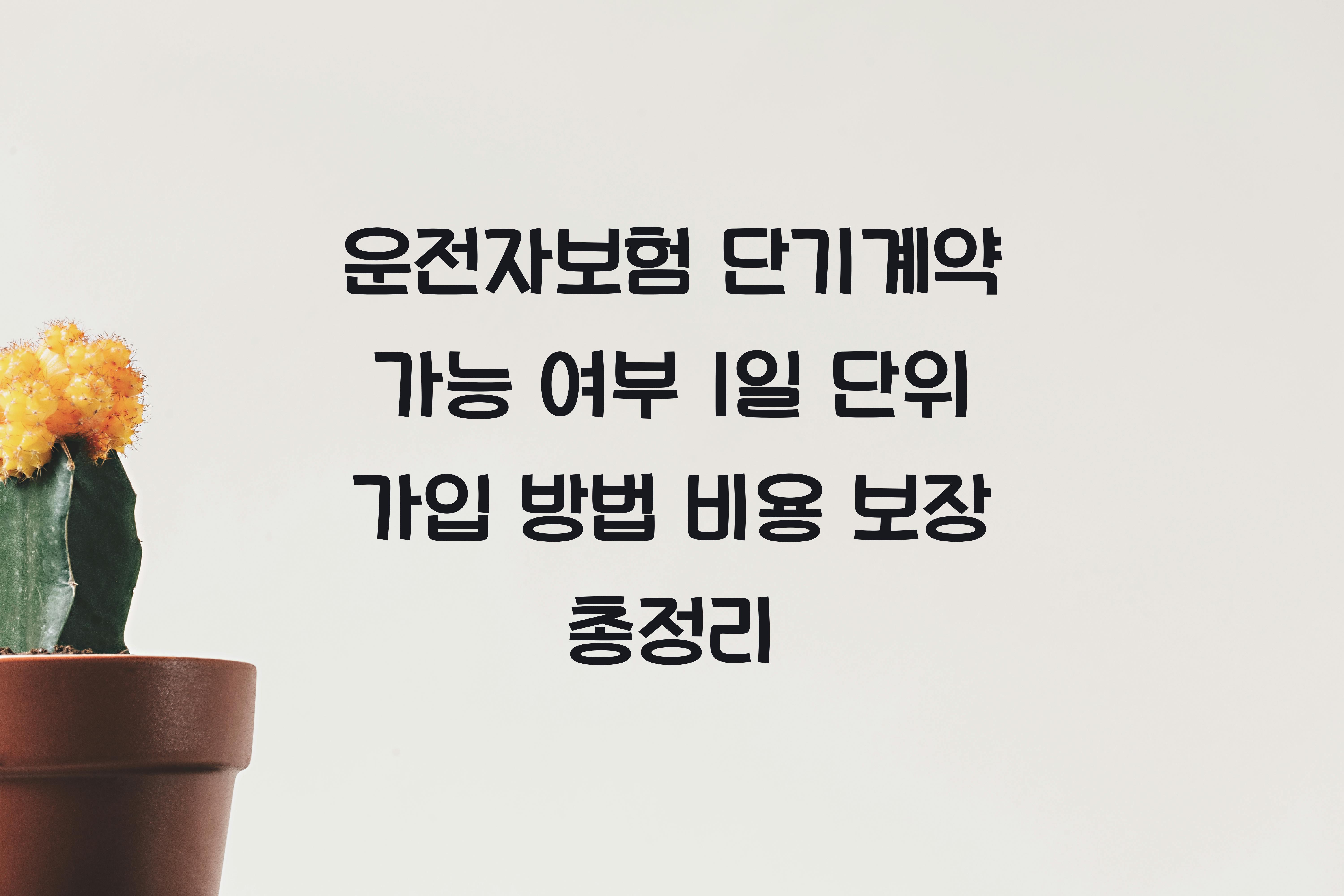 운전자보험 단기계약 가능 여부