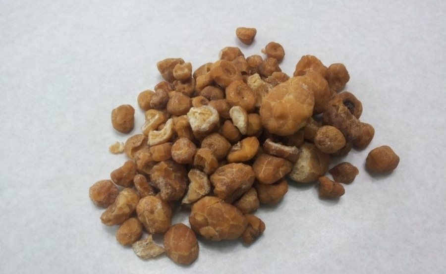 야생에서 채취를 한 반하를 생강즙에 담근 후에 볶은 강반하를 하얀 바닥 위에 수북하게 놓아두고 찍은 사진